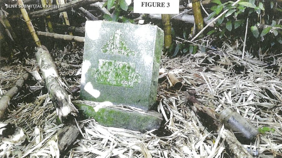 VIDEO: Damaged Grave Stones Action Before BLNR