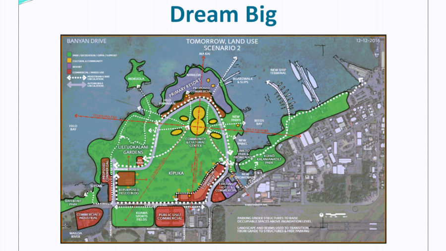 VIDEO: Planners “Dream Big” On Banyan Drive Redevelopment
