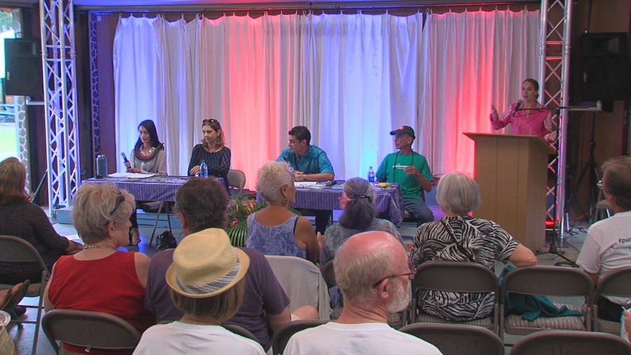 VIDEO: 2 Of These 4 Candidates Will Represent Puna On County Council