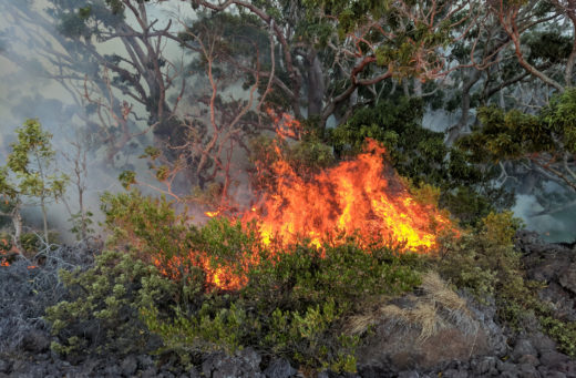 Hawai'I Island Firefighters' Account: The Heart Of The Mauna Kea Fire - oykl7ih