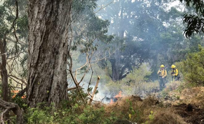 The Mauna Kea Fire: A Story Of Courage From Hawai'I Island Firefighters - 7vz5f7a