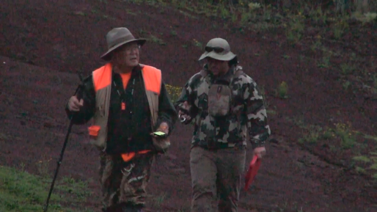 VIDEO Counts, Aerial Hunts On Mauna Kea Before Game Bird Season