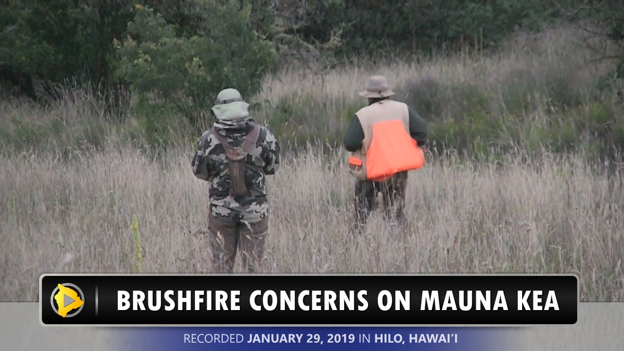 Firefighters' Perilous Mission: Mauna Kea Wildland Fire Update - pzmfrkg