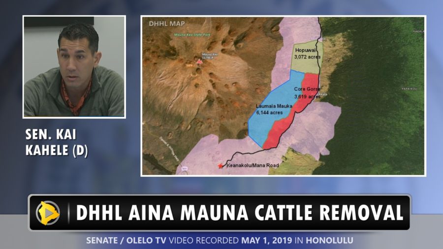 VIDEO: DHHL Humu’ula Cattle Removal Contract Questioned