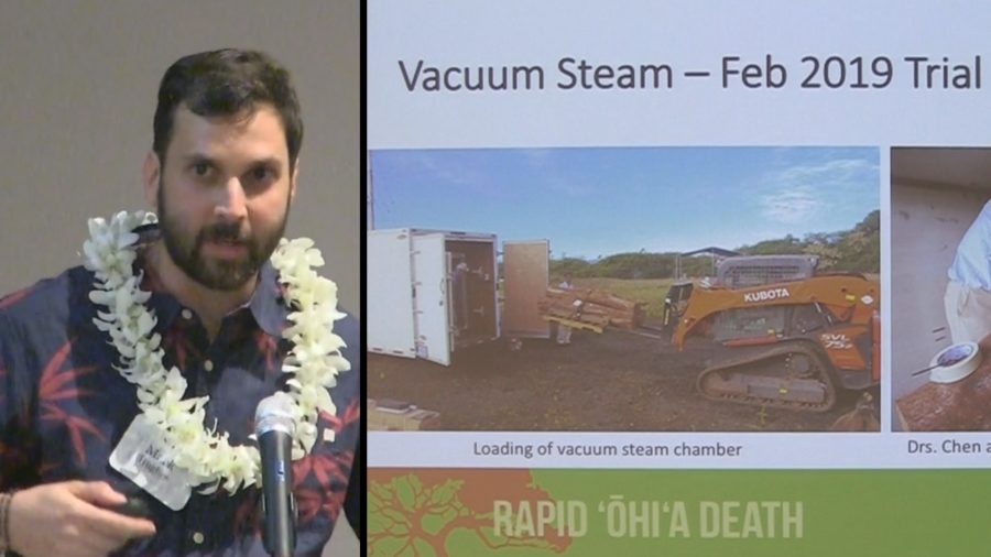VIDEO: Results Of Rapid ʻŌhiʻa Death Treatment Trials