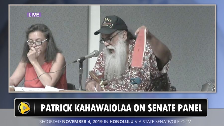 VIDEO: Hawaii Island Beneficiaries Speak Out At Senate DHHL Meeting