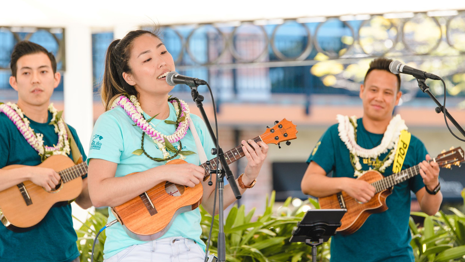 rustfri Ørken hæk Bring Your Own To The Great Waikoloa 'Ukulele Festival Saturday