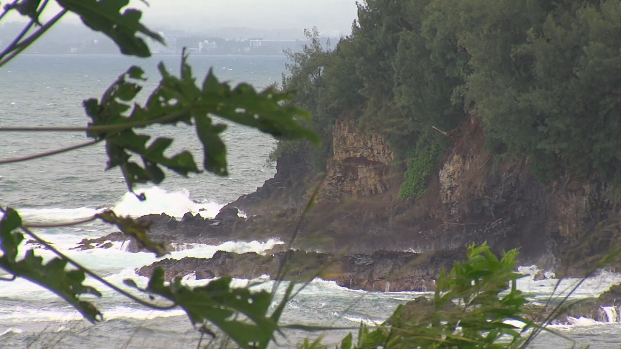 VIDEO Pepeʻekeo Point Open Space Preservation Considered