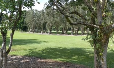 Hilo Muni Golf Course Reopening With Some New Rules