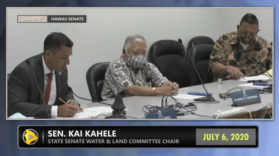 VIDEO: Hawaii Island BLNR Nominee Fails To Get Committee Support