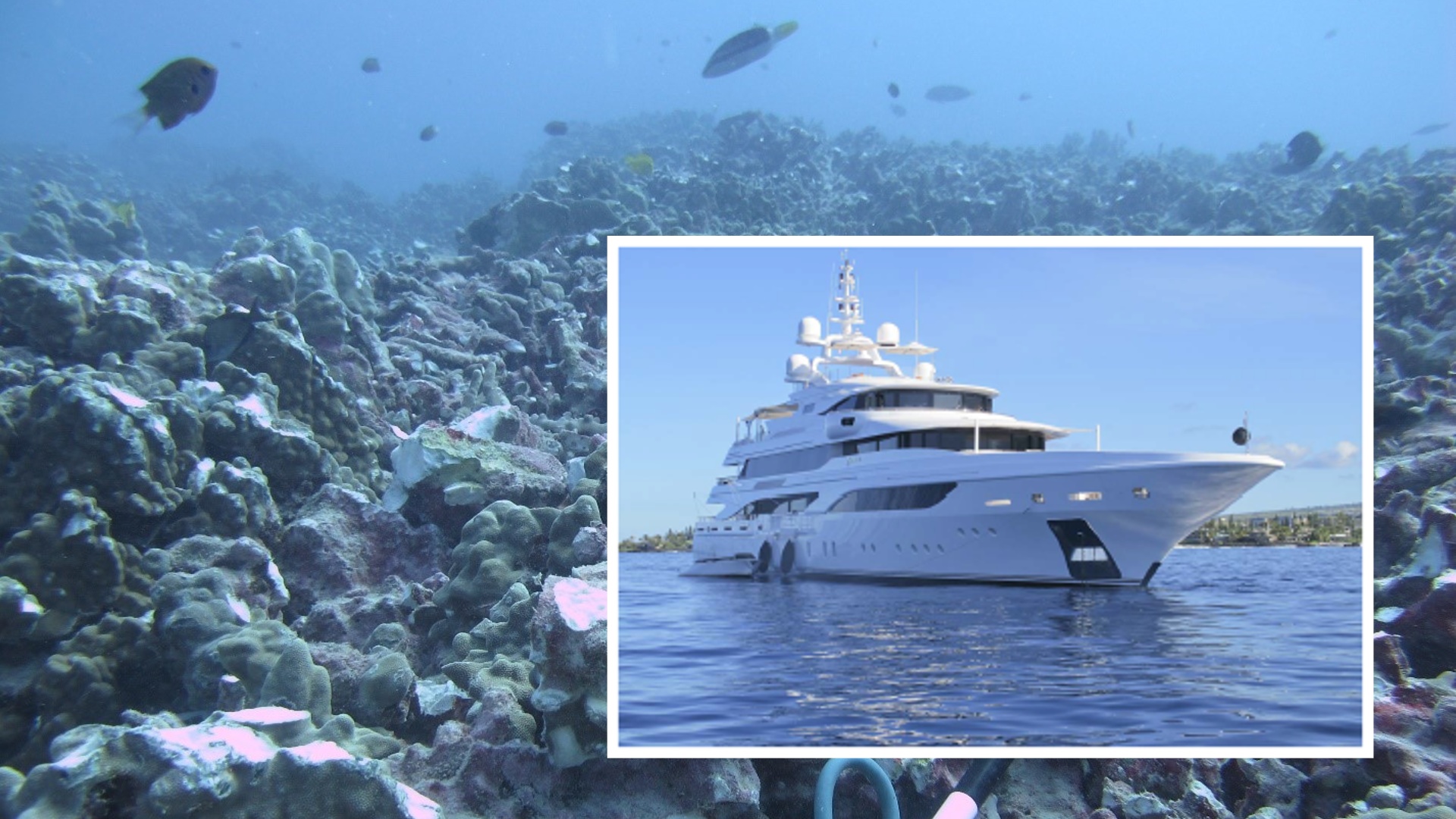 video-luxury-yacht-to-pay-100k-for-dropping-anchor-on-coral-in-kailua-bay