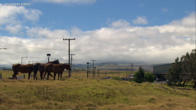 Water Conservation Notice For Waimea Area Of Hawaiʻi Island