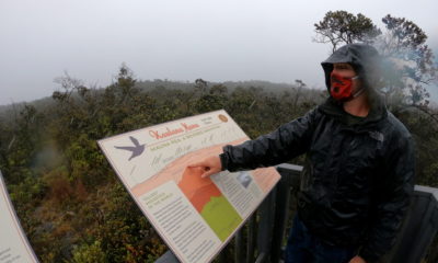 New Nature Trail Opens Off Saddle Road On Hawaii Island
