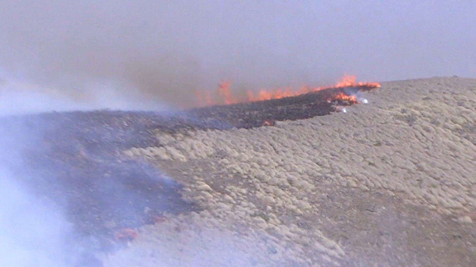 VIDEO Hawaii Brush Fire Continues To Burn, Evacuation Order Lifted