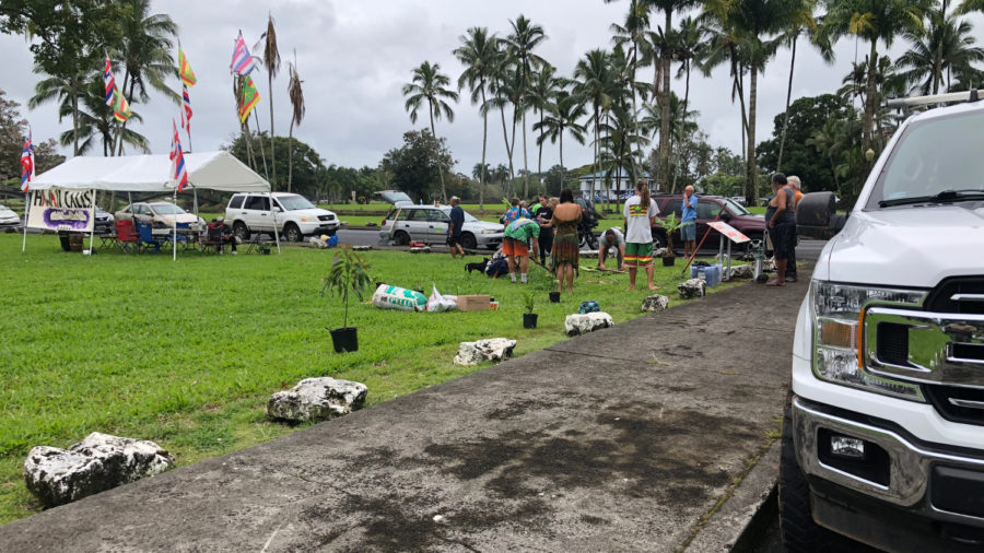DLNR Thwarts Another Attempt To Plant Kanaka Garden In Hilo