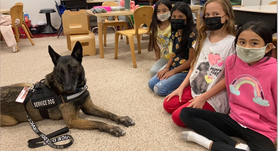 COVID Detector Dog Visits Hawaiʻi Island Schools