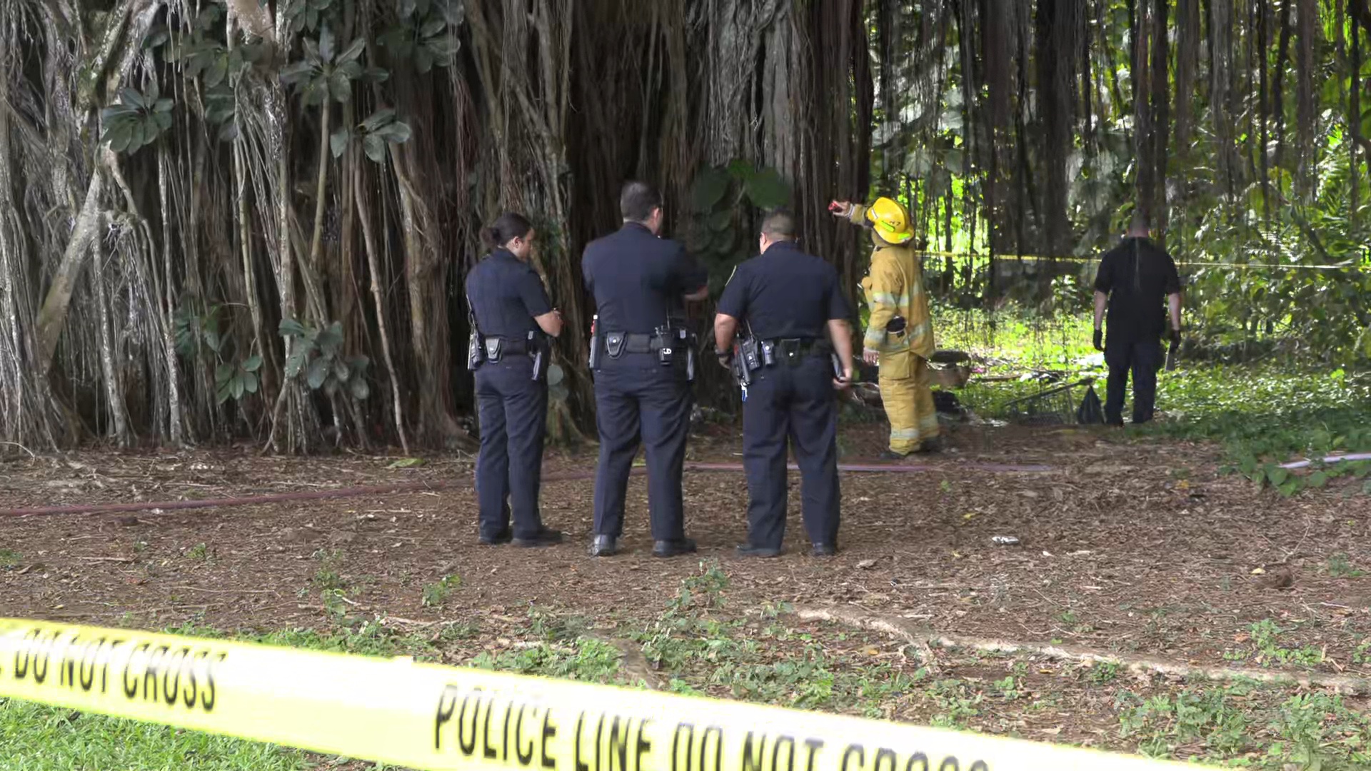 VIDEO Body Found Inside Burning Banyan Tree