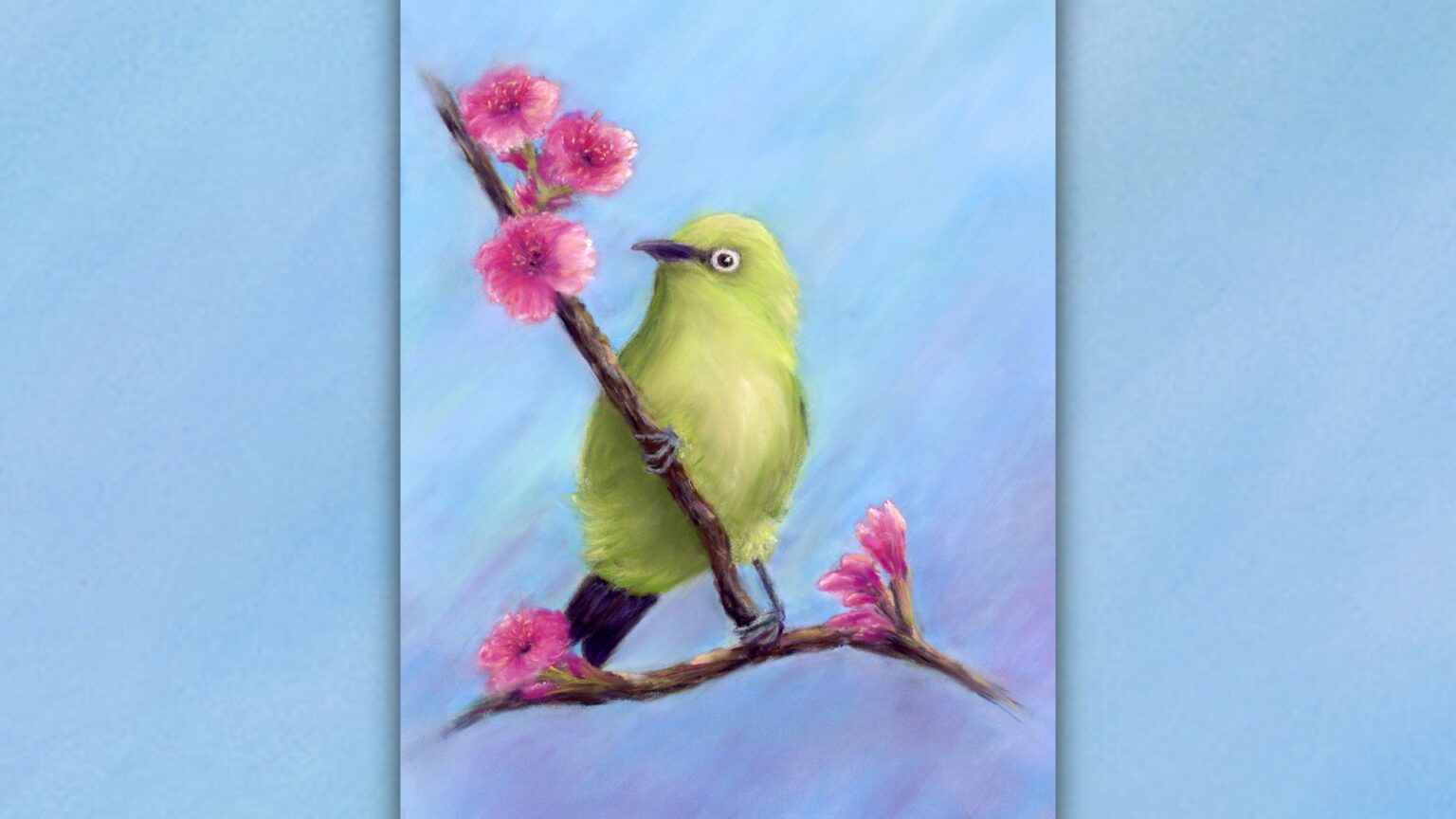 Lineup Set For 30th Waimea Cherry Blossom Heritage Festival